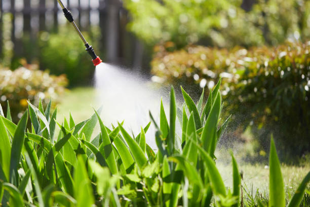 Tamper-Resistant Bait Stations for Rodents in East Islip